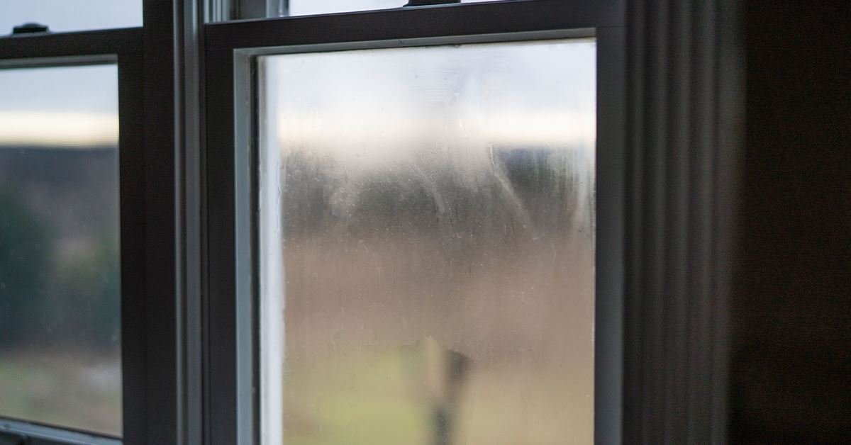 Why does it smell so bad outside this fall? Manure? Ginkgoes? Trapped odors?